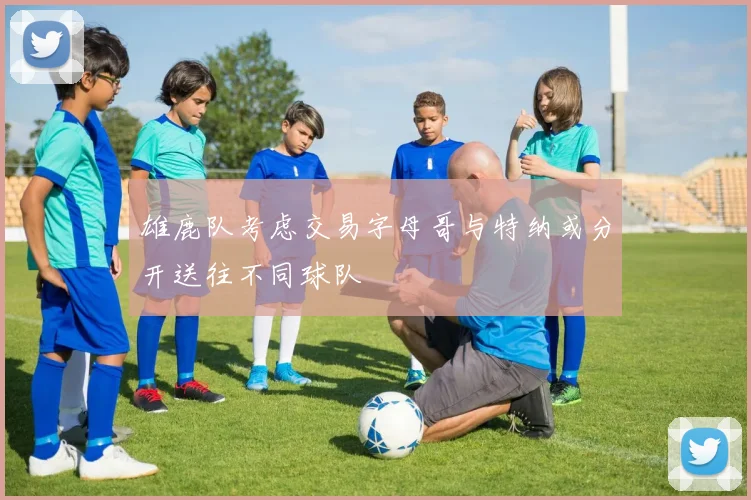 雄鹿队考虑交易字母哥与特纳或分开送往不同球队